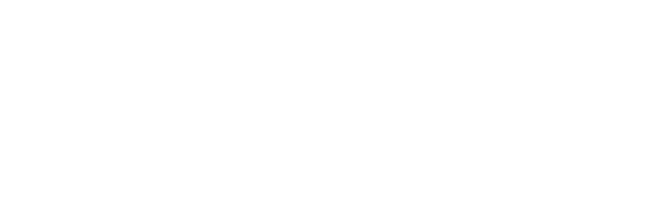 ministry of external affairs